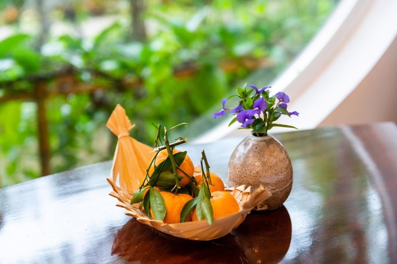 Binh Minh Eco Lodge Кан То Екстериор снимка
